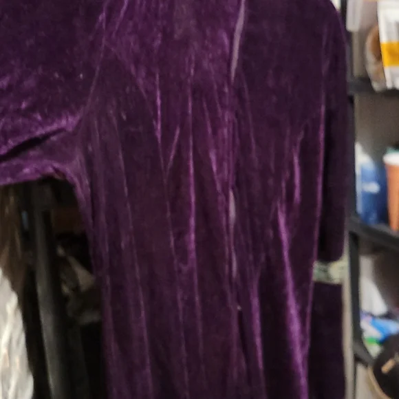 Costume Dress - Picture 4 of 7